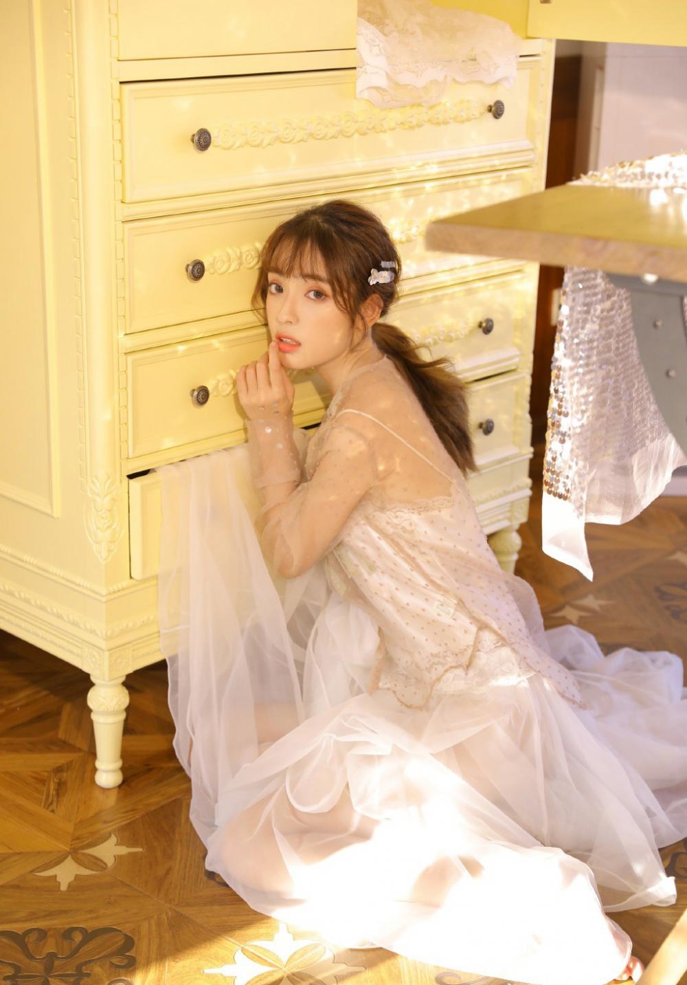 我们家的小小动物园作文